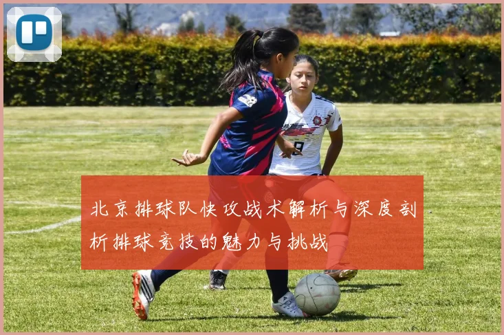 北京排球队快攻战术解析与深度剖析排球竞技的魅力与挑战