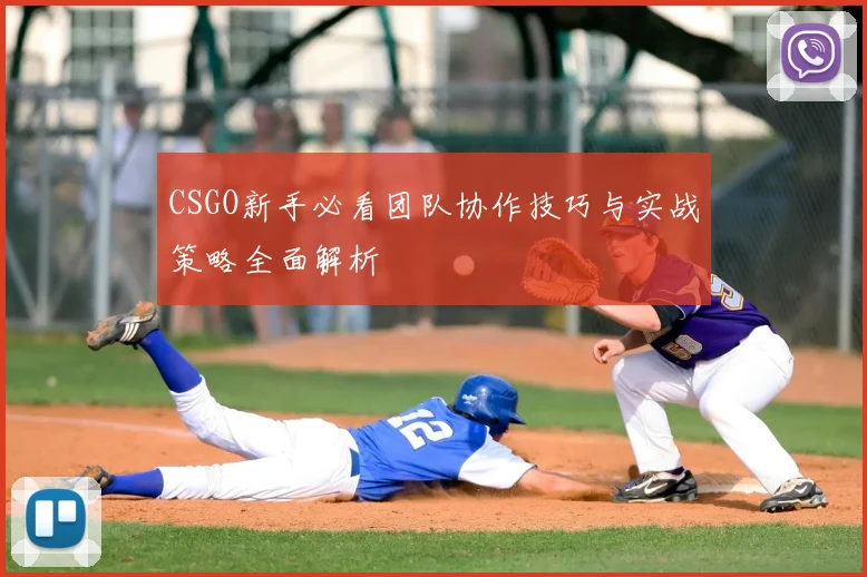 CSGO新手必看团队协作技巧与实战策略全面解析