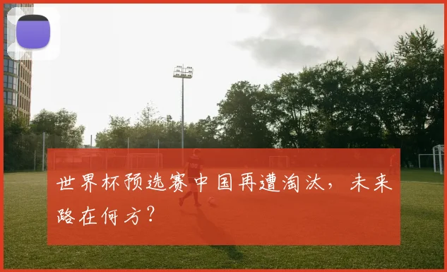 世界杯预选赛中国再遭淘汰,未来路在何方?