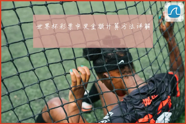 世界杯彩票中奖金额计算方法详解