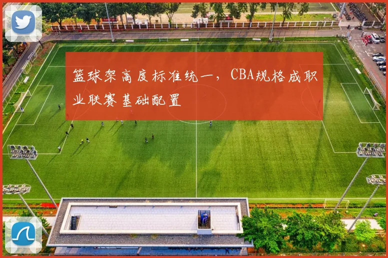 篮球架高度标准统一,CBA规格成职业联赛基础配置