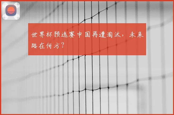 世界杯预选赛中国再遭淘汰,未来路在何方?