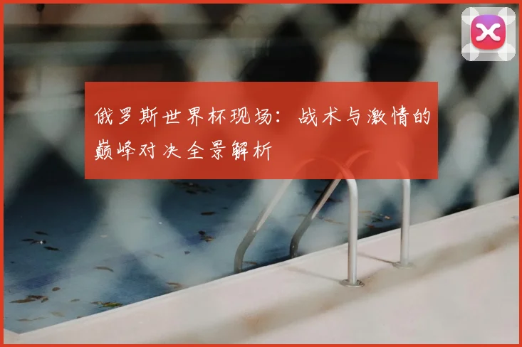 俄罗斯世界杯现场：战术与激情的巅峰对决全景解析