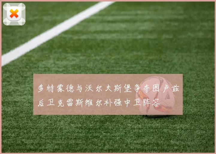 多特蒙德与沃尔夫斯堡争夺图卢兹后卫克雷斯维尔补强中卫阵容