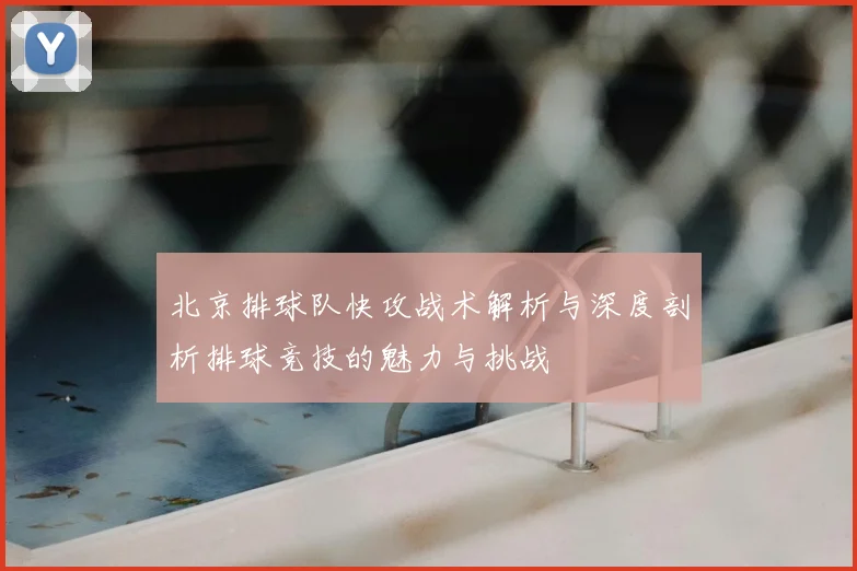 北京排球队快攻战术解析与深度剖析排球竞技的魅力与挑战