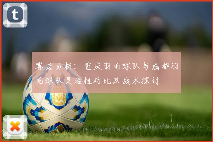 赛后分析：重庆羽毛球队与成都羽毛球队灵活性对比及战术探讨