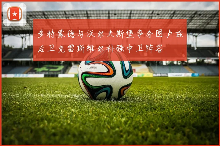 多特蒙德与沃尔夫斯堡争夺图卢兹后卫克雷斯维尔补强中卫阵容