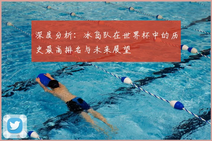 深度分析：冰岛队在世界杯中的历史最高排名与未来展望