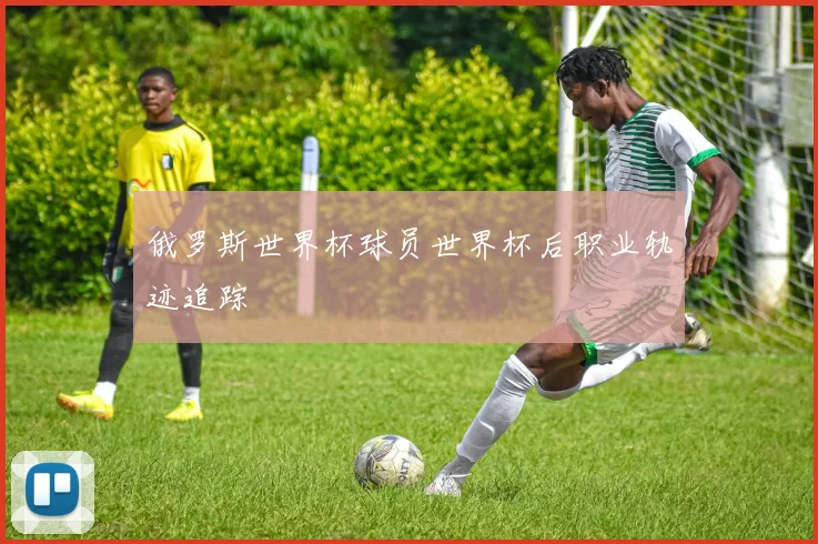俄罗斯世界杯球员世界杯后职业轨迹追踪