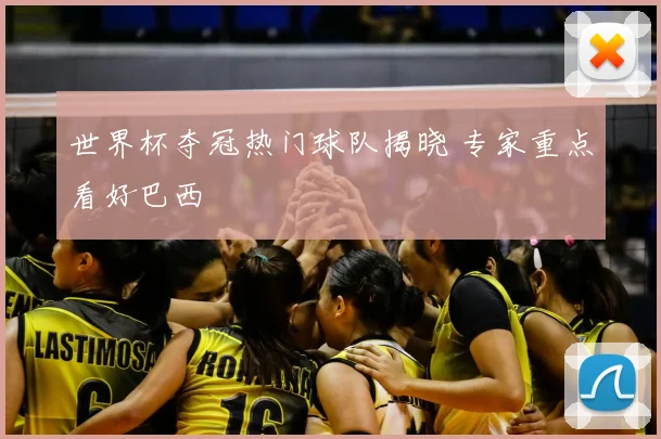 世界杯夺冠热门球队揭晓 专家重点看好巴西